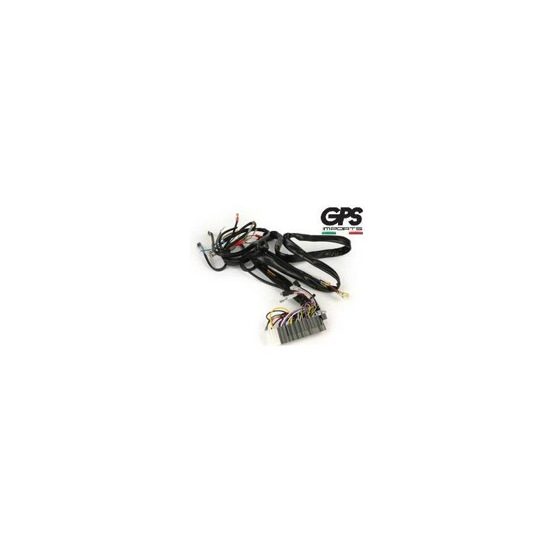 Wiring Loom PX Arco