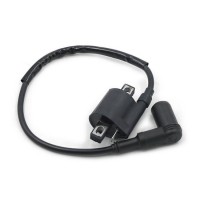 HT Coil RS125