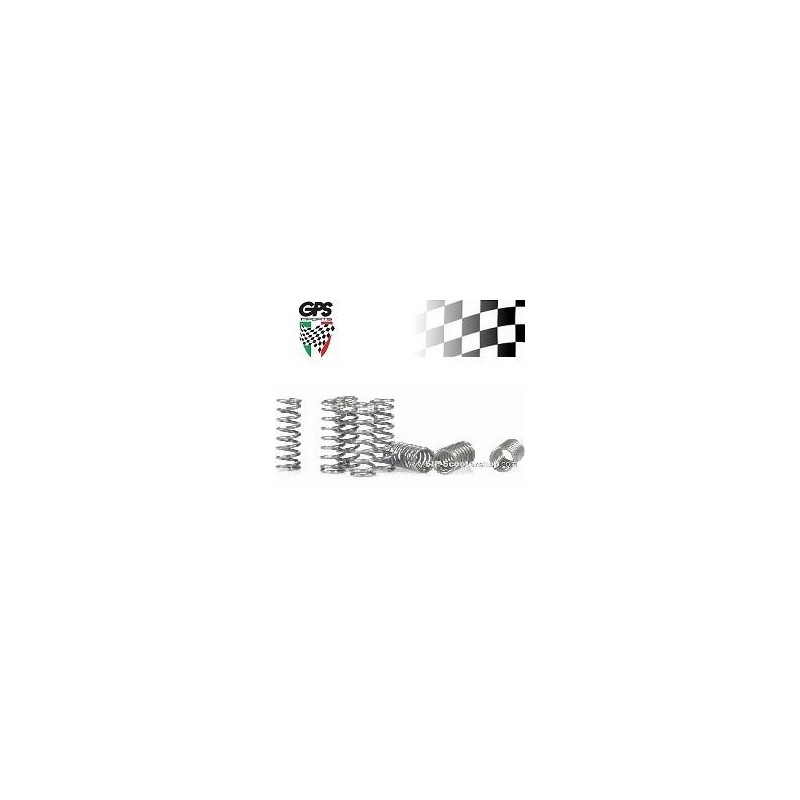 Clutch Springs SIP RACE PX/Cos