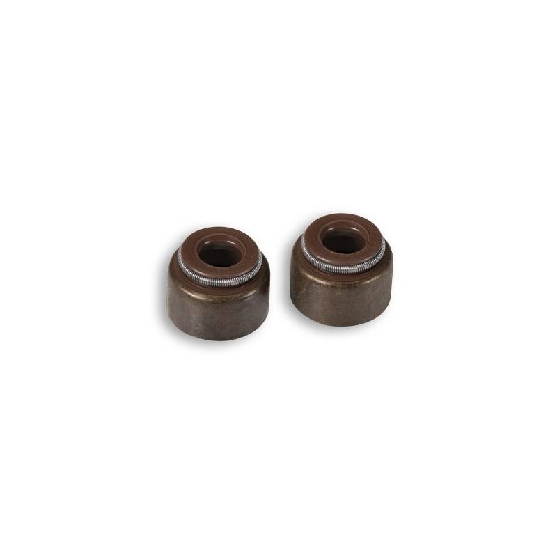 Valve Seal