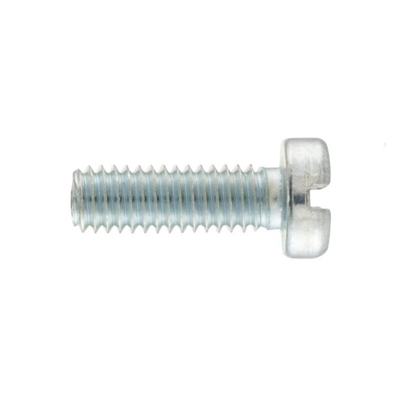 Screw for Brake Light Switch