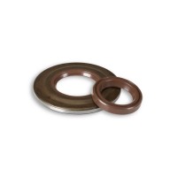 Crank Oil Seal Kit PX