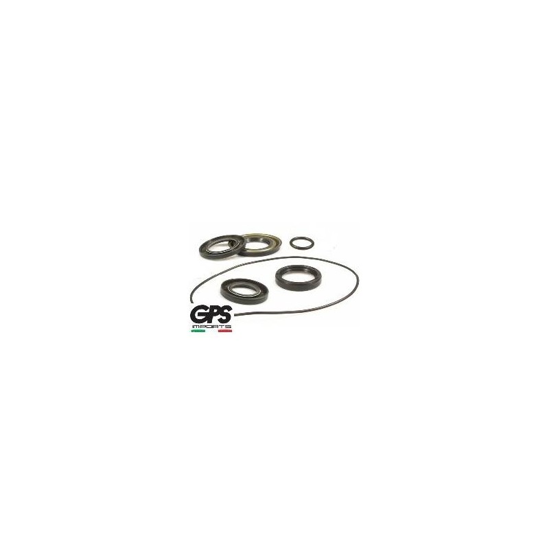 Oil Seal Kit GS160/SS180