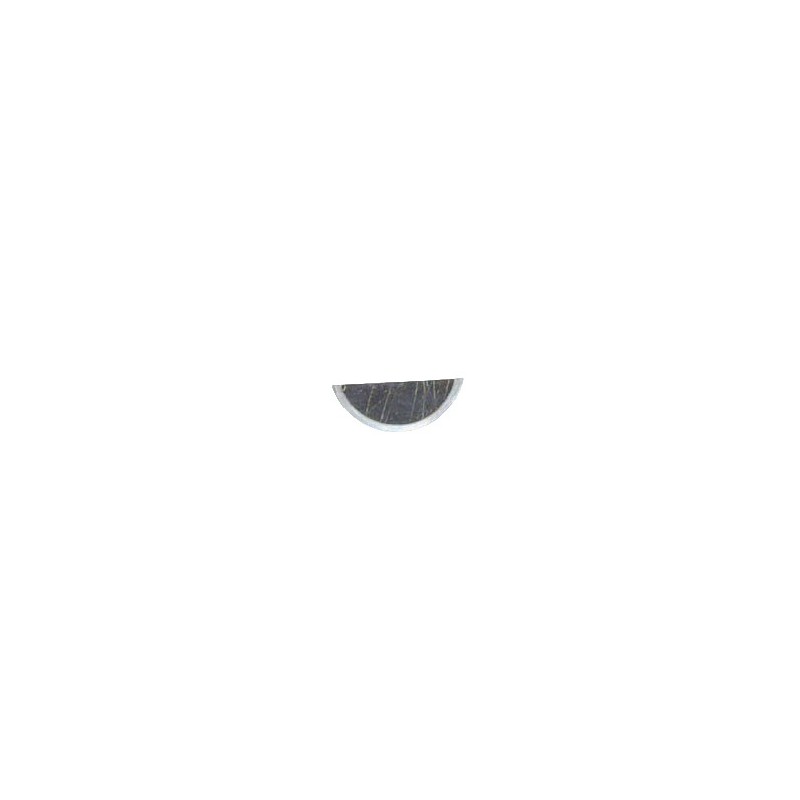 W'ruff Key 12.6 x 5 x 3 mm Fly