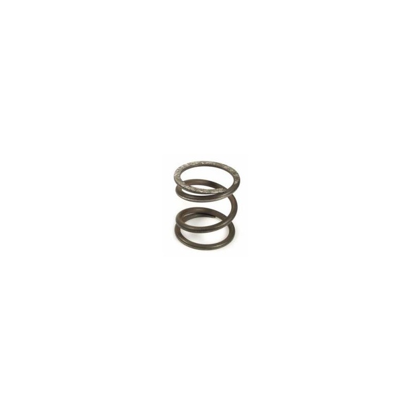 Clutch Spring Vespa Smallframe