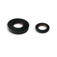Oil Seal Kit D50B