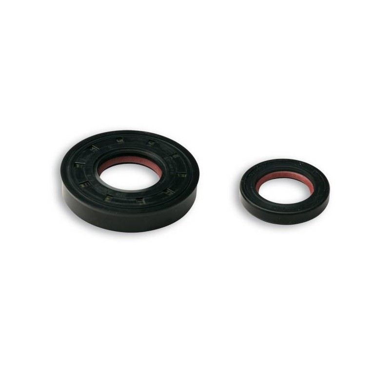 Oil Seal Kit D50B