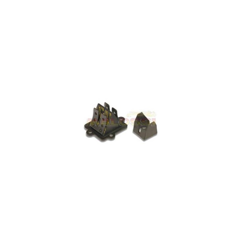 Reed Valve Morini, Minarelli
