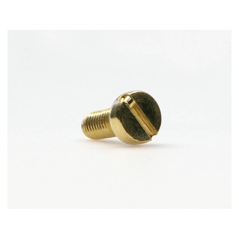 Screw for Float Bowl Cover