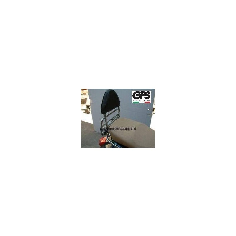 Backrest GTS 250/300