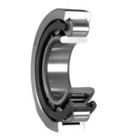 Bearing N205E