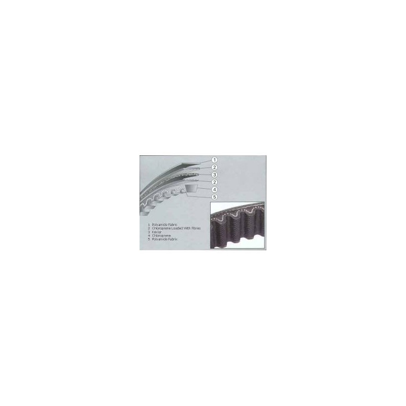 Belt VXR200/GT200