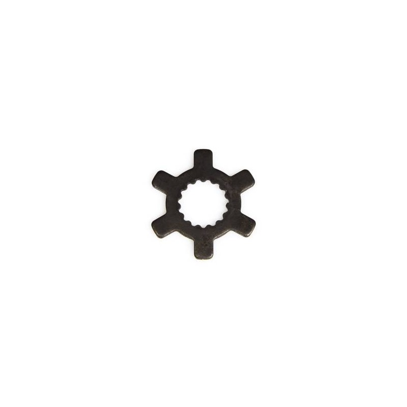 Star Washer