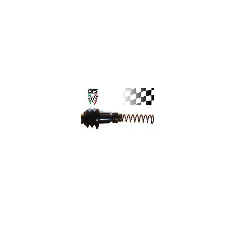 Master Cyl Piston Overhaul Kit