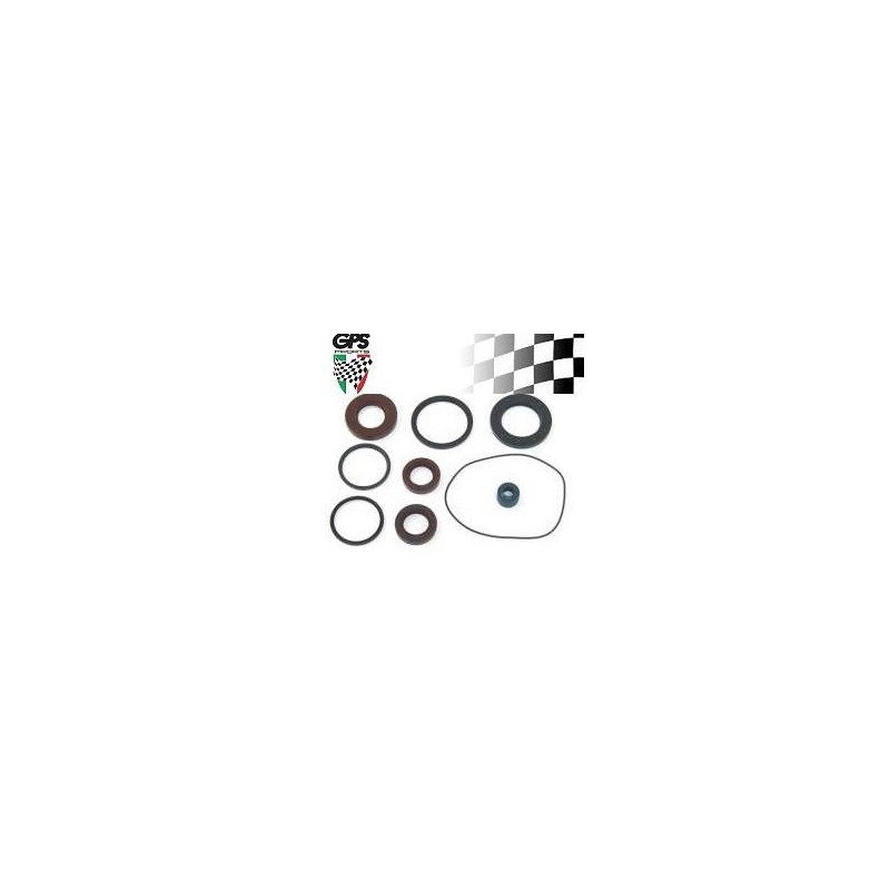 Oil Seal Kit Piaggio 50 2T