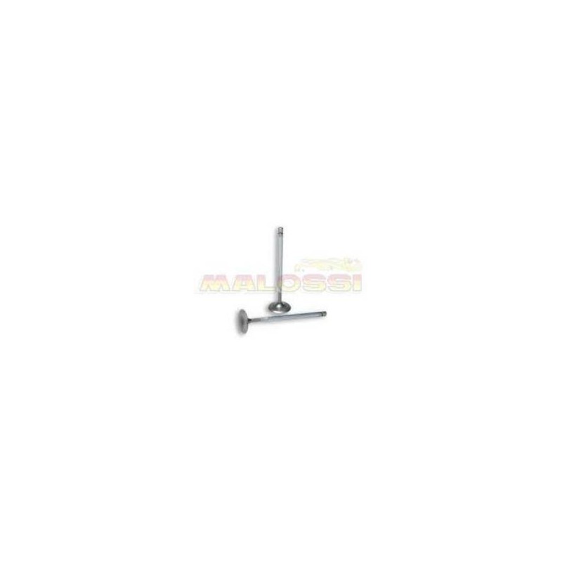 Inlet Valves for Malossi Head