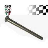 Speedo Screw Vespa