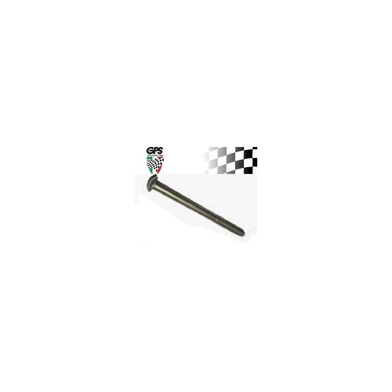 Speedo Screw Vespa