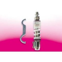 Front Shock RS24 GT/GTS/GTV
