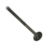 Exhaust Valve 250/300