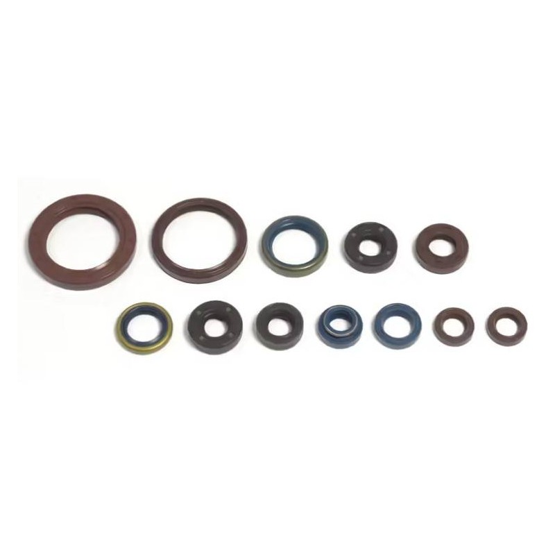 Oil Seal Kit SXV/RXV