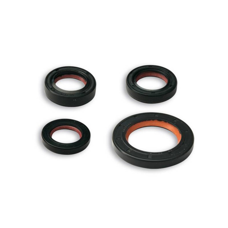 Oil Seal Kit Piaggio 50