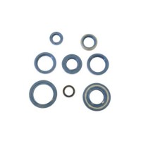 Engine Seal Kit Ducati 350-650