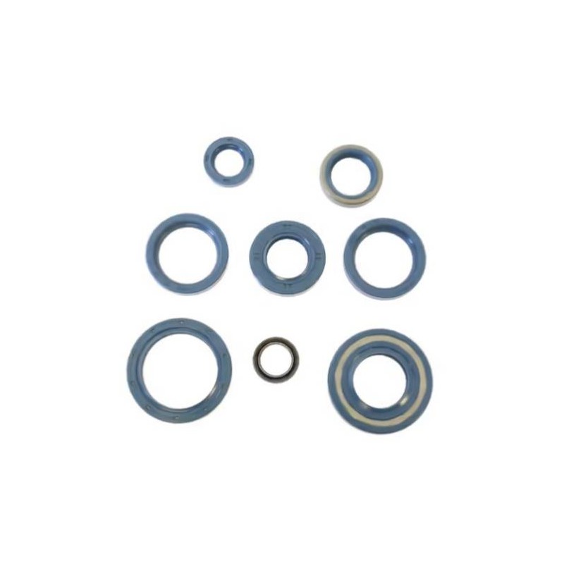 Engine Seal Kit Ducati 350-650