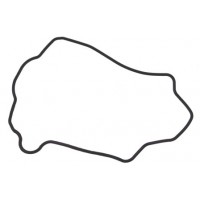 O Ring LX Rocker Cover