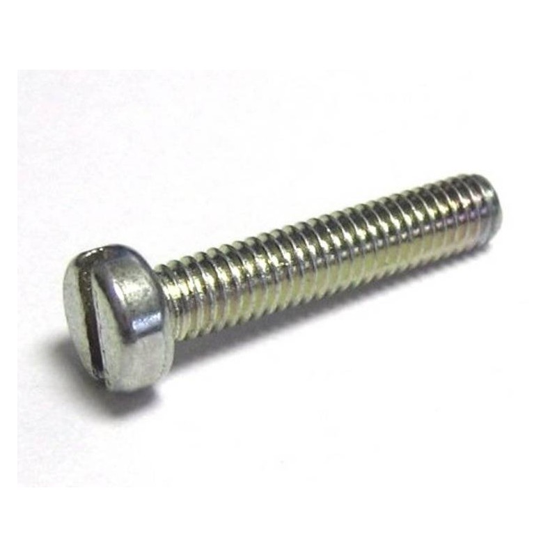 Screw