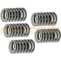 Clutch Springs D50B