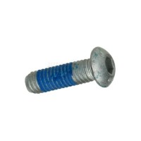 Screw for Brake Disc M6 x 20mm
