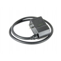 CDI Unit Variatronic