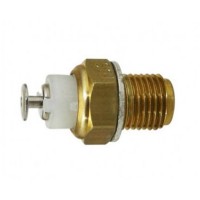 Thermistor RS125