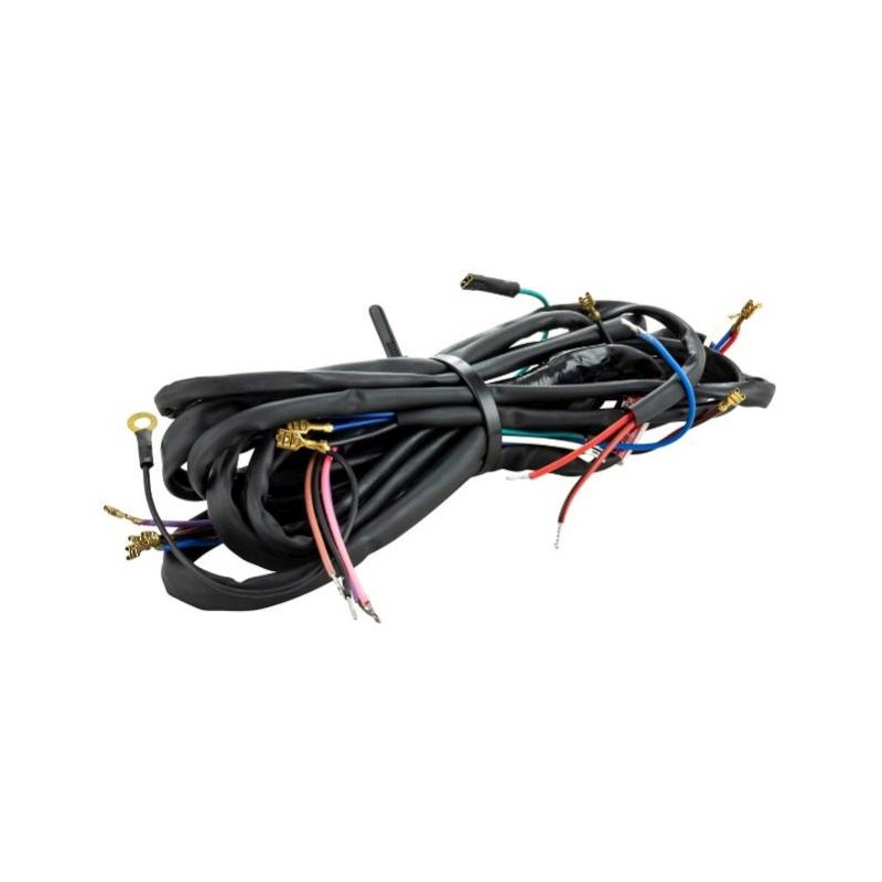 Wiring Loom Electronic Convers