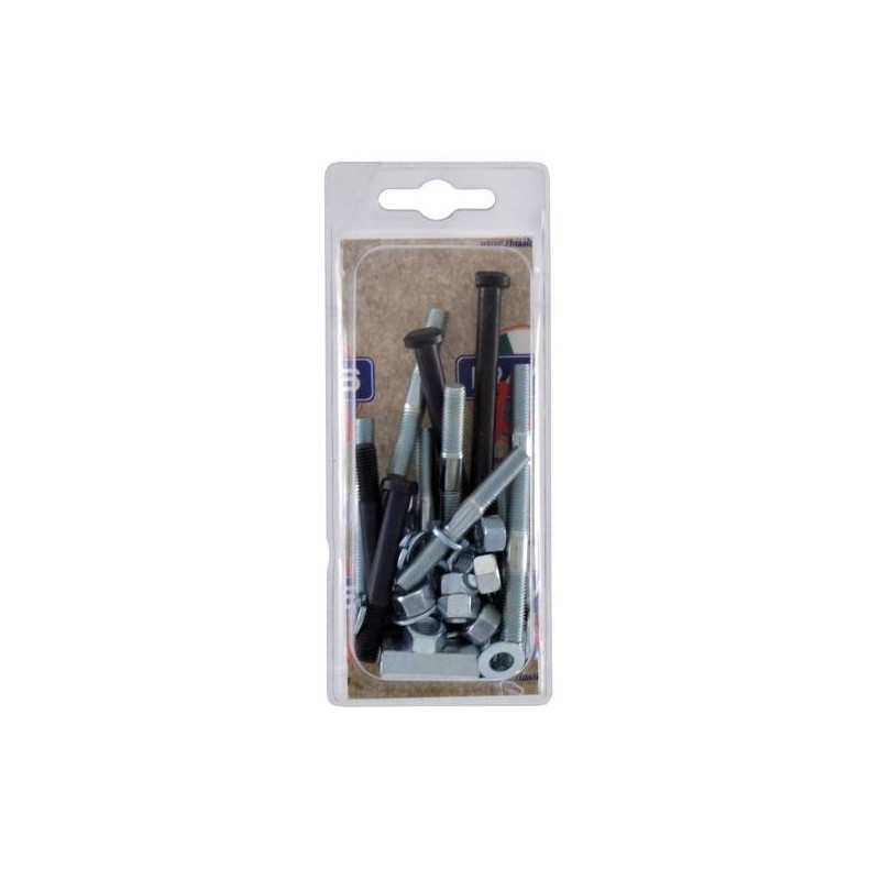 Engine Bolt Kit 200