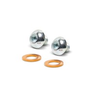 Oil Plug and Gasket Kit
