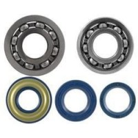 Crankshaft Bearings and Seals